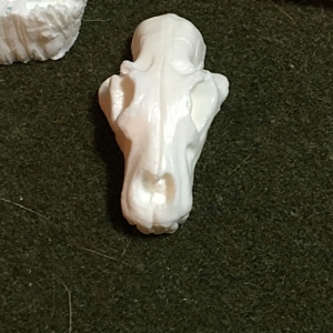 Aurora prehistoric scenes resin model add on