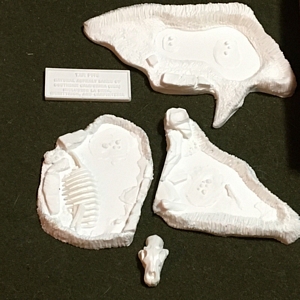 Aurora prehistoric scenes resin model add on