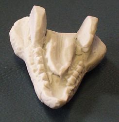 Aurora prehistoric scenes resin model add on