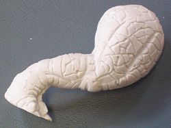 Aurora prehistoric scenes resin model add on