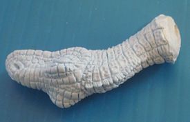 Aurora prehistoric scenes resin model add on