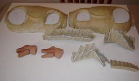 Aurora prehistoric scenes resin model add on