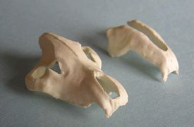 Aurora prehistoric scenes resin model add on