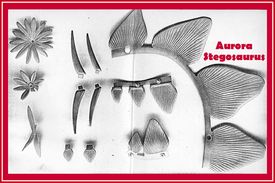 Aurora Stegosaurus