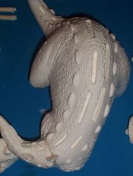 Aurora stegosaurus model