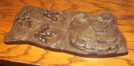 allosaurus build up