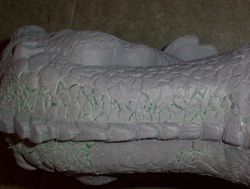 allosaurus build up