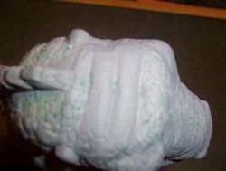 allosaurus build up