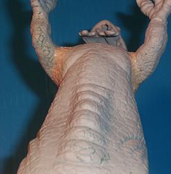 allosaurus build up