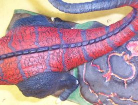 allosaurus build up