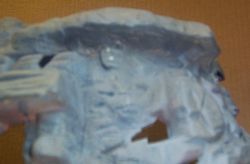 click for larger image