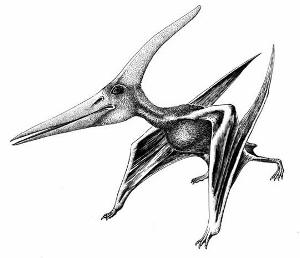 Flying Reptile model kit