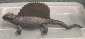 Sialback Reptile