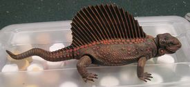 Sialback Reptile