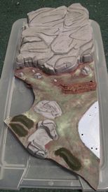 Sialback Reptile
