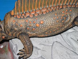 Sialback Reptile
