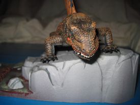 Sialback Reptile