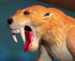 click for larger image