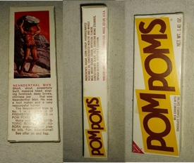 Aurora prehistoric scenes Pom Poms box