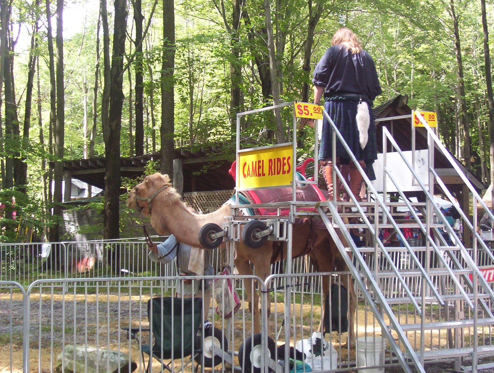 GLMF - great lakes medieval faire