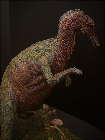 Keywords: add on;trachodon