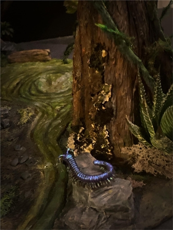 Keywords: add on;trachodon
