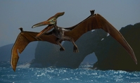 andrewfly02.jpg