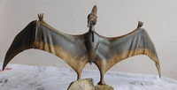 andrewfly03.jpg