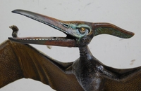andrewfly04.jpg