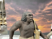 Filename=hidalgoneman12.jpg
Filesize=322KiB
Dimensions=2048x1536
Date added=Jun 26, 2026 hidalgoneman12.jpg