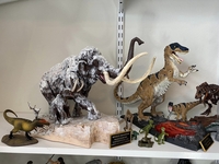 Filename=hidalgocol08.jpg
Filesize=369KiB
Dimensions=2048x1536
Date added=Aug 03, 2024 hidalgocol08.jpg