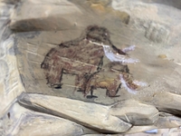 Filename=hidalgocave07.jpg
Filesize=205KiB
Dimensions=2048x1536
Date added=Aug 03, 2024 hidalgocave07.jpg