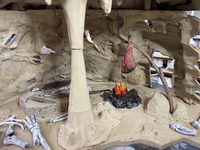 Filename=hidalgocave08.jpg
Filesize=365KiB
Dimensions=2048x1536
Date added=Aug 03, 2024 hidalgocave08.jpg