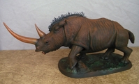 rhino04.jpg